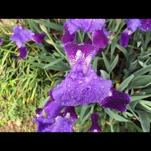 Meet your Posher, A j